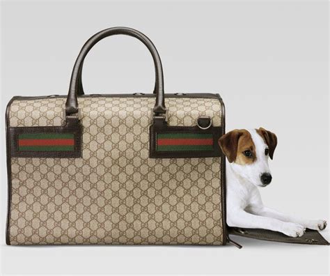 gucci dog carrier ebay|Gucci tote with cat.